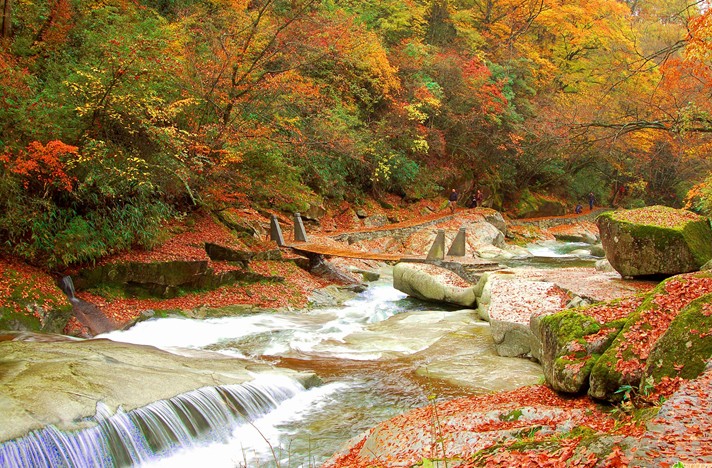 光雾山十八月潭看红叶彩林111尽早脱光图片